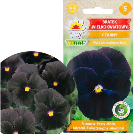 R3358 Großblütige Stiefmütterchen, schwarz, 0,2 g Samen, Blüten, Toraf (1/4)