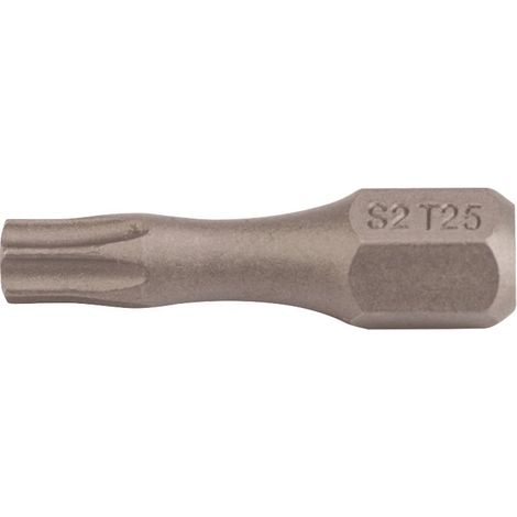 Bit P829173 1/4 pouce T 25 L.25mm TZ TECWERK (1/5)