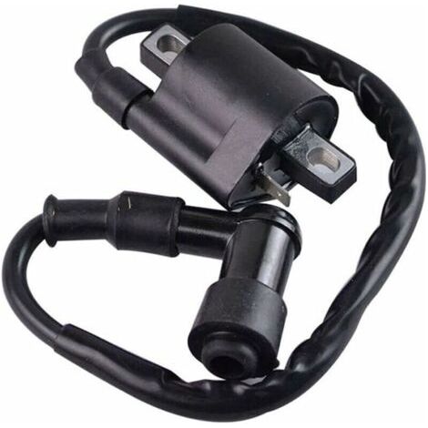 Bobina di accensione nera compatibile con Yamaha PW50 PY50 PEEWEE PY PW 50 Dirt Pit Bike Parts