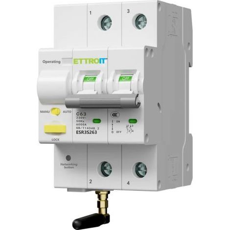 Interruttore Magnetotermico 2P Tuya SmartWiFi Conta Energia Riarmo Automatico 63A