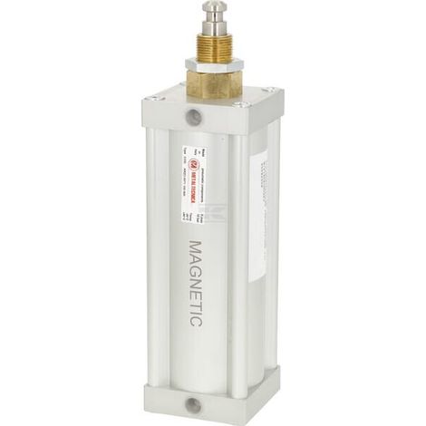 Cilin pneum. 6" std+magnete MZ 6008200Z (1/3)