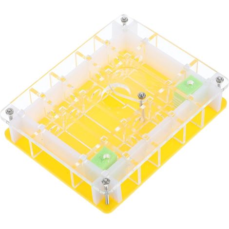 Boîte écologique d'hormigas en acrylique transparente pour (1/5)