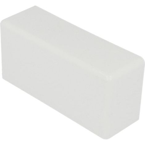 Embout pour goulotte 110 x 50 mm