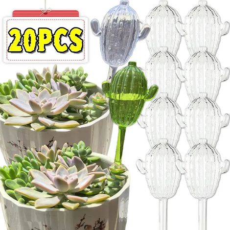 Arrosoir transparent unique en forme de cactus, avec système d'irrigation automatique et débit efficace. Idéal pour le jardinage extérieur. (1/4)