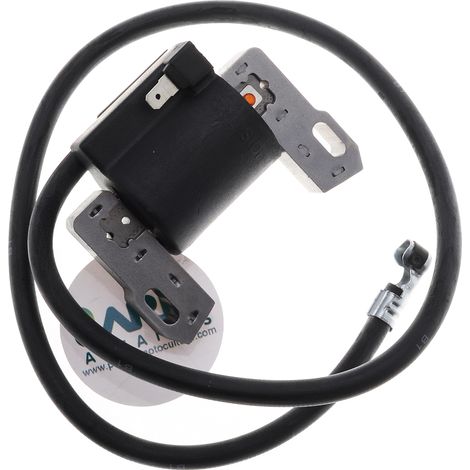 Bobine d'allumage adaptable moteur BriggsStratton remplace 398811 (1/3)
