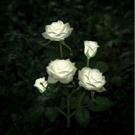 Flower Shaped Solar Light for Garden Decoration - White (1/5)
