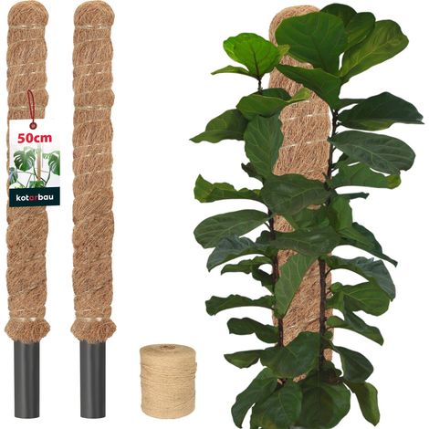 KOTARBAU® 2 pcs Tuteur Plante - Tuteur Coco - ⌀ 3.2 x 50 cm - Fibre de Coco - Tuteurs pour Monstera - Marron - pour Plantes Grimpantes (1/5)