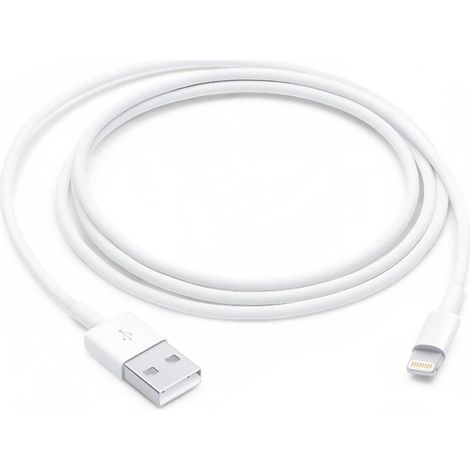 Apple Cavo da Lightning a USB (1 m) (1/4)