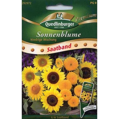 Quedlinburger Sonnenblumen niedrige Mischung Saatband 6 Meter - Blumensamen (1/2)