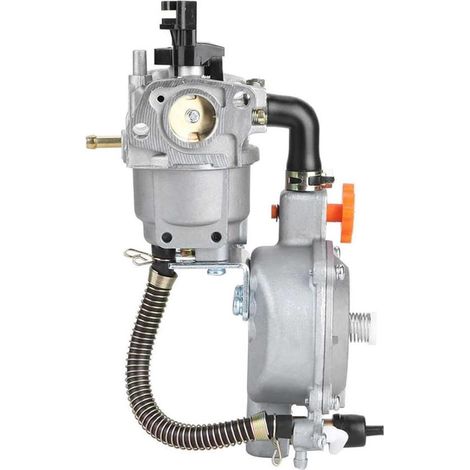 Carburateur GPL / gaz naturel compatible GX160 – moteur multi-carburant (1/5)
