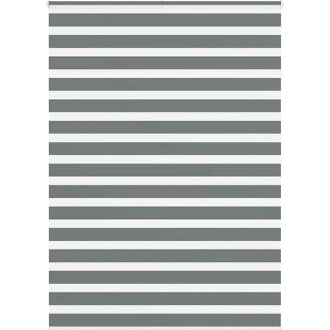 Doppelrollo Dunkelgrau 160x200 cm Stoffbreite 155,9 cm Polyester