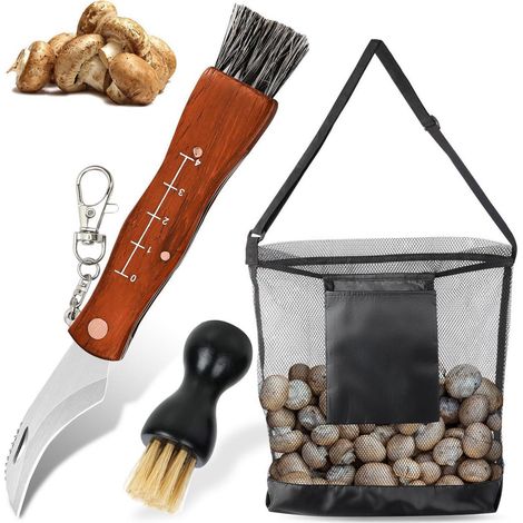 Pilzmesser mit Bürste und Tasche, klappbar, Edelstahl, Holzgriff