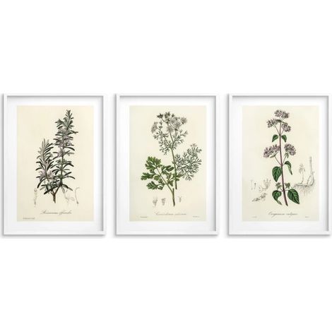 Lot de 3 affiches Décoration murale pour la cuisine Affiches de cuisine Herbes (1/5)