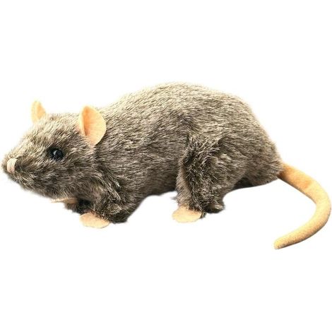 Ratte 20cm MIX