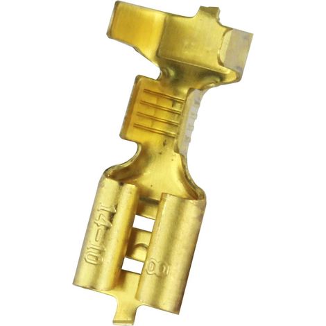Cosse faston RS PRO, 14 10 AWG, Non-isolé ( Prix pour Sachet de 50 )