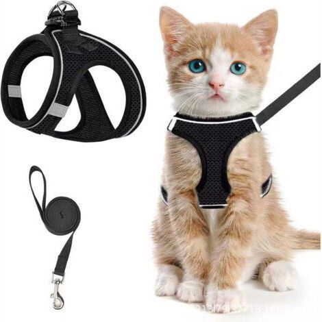 Harnais pour chat avec laisse, harnais respirant pour chaton et bande réfléchissante, collier réglable pour petit chien, facile à mettre, pour chiot persan, ragdoll, american shorthair, lapin (1/4)
