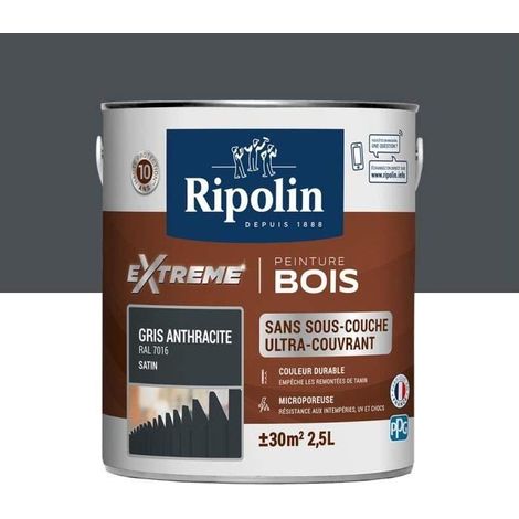 Ripolin Protection Extrême Pintura Gris Antracita 2,5 L