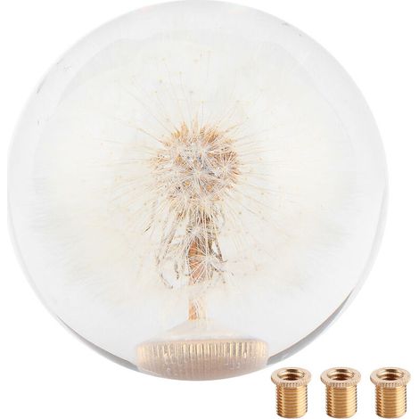 Jeffergarden Pommeau de Levier de Vitesse, Pommeau de Levier de Vitesse à Bille Transparente de 2,8 Pouces, Bouton de Fleurs de Pissenlits en Cristal Véritable avec 3 Adaptateurs de Filetage-DOU