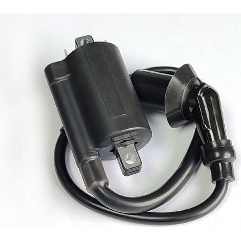 Bobina de encendido adecuada para Yamaha YAMAHA/VIRAGO250/XV125/XV250/1995-2007 (1/4)