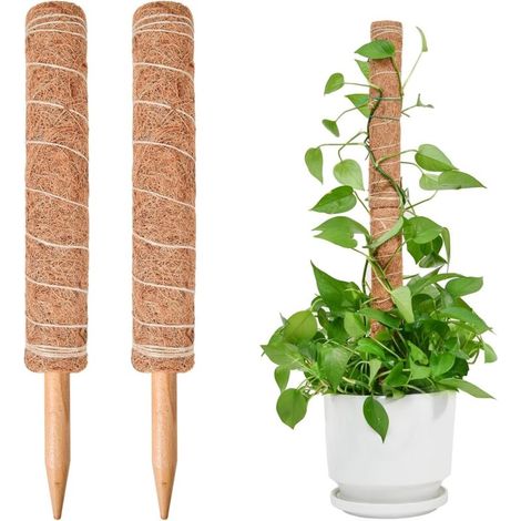 Ensemble de support pour plantes grimpantes en deux parties,40Tiges de cocotier de 1 cm, utilisées comme tuteurs pour les plantes (1/5)