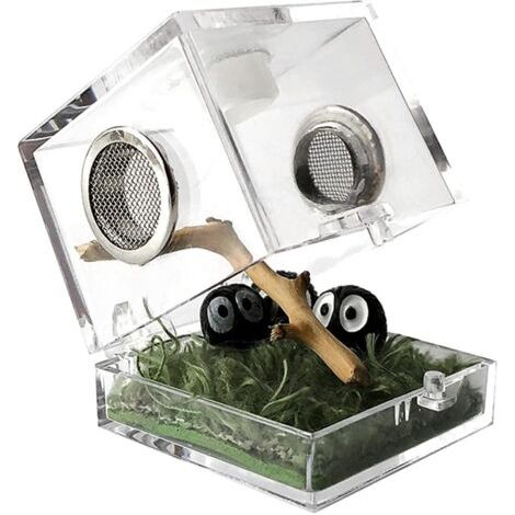Boîte d'alimentation pour insectes, boîte d'élevage en acrylique transparent pour reptiles et araignées