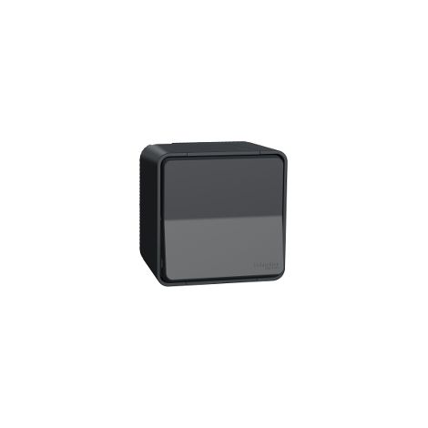 Mureva interruttore 2P 16AX - MUR35033