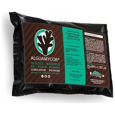 Alguamycor - stimulateur racinaire - 1 Kg - Guano Diffusion
