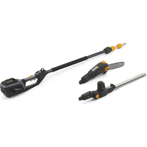 Multiherramienta AMT 48 Li Kit, Podadora Telescópica De 25 cm, Accesorio Cortasetos Con Cuchillas De 46 cm, Para Recortar y Podar En Alturas, Batería de 48 V, Batería y Cargador Incluidos - ALPINA (1/5)