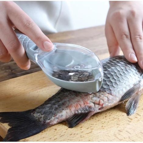 grattoir Brosse à peau de poisson grattage brosse à écailles de poisson râpe démontage rapide couteau à poisson YY (1/4)