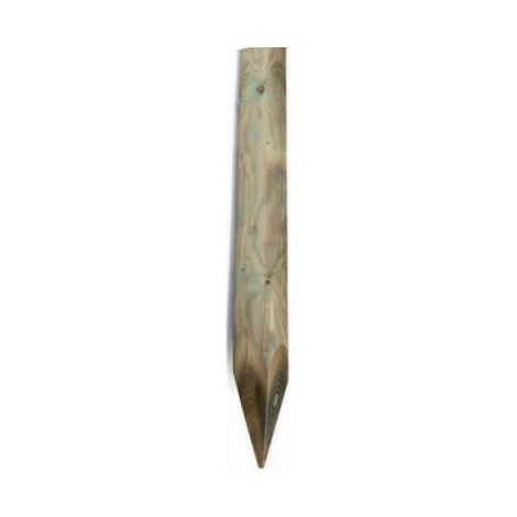 PALO IMPREGNATO TONDO C/PUNTA D 5XH100  CM- 1,0 pz