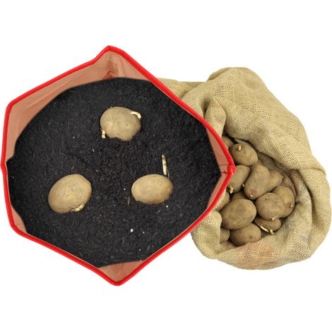 Sac de culture rouge de 7 gallons pour plantes de jardin, pot de fleurs pour légumes, jardinière à faire soi-même pour pommes de terre (1/5)