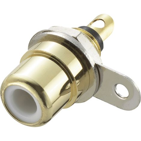 TRU COMPONENTS 719258 Cinch-Steckverbinder Buchse, Einbau vertikal Polzahl: 2  Weiß 1 St.
