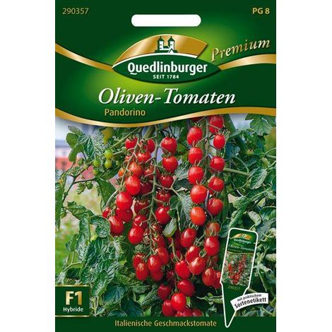 Quedlinburger Oliven-Tomaten Pandorino - Gemüsesamen