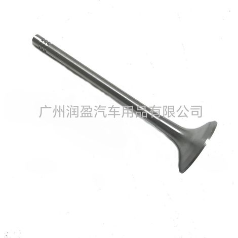 Anwendbar auf Audi A4, A6 TT, Volkswagen Golf, Jetta und Passat 058109611E Auslassventile