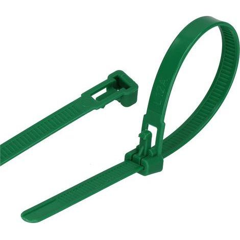 Packung mit 100 wiederverwendbaren Kabelbindern (7,6 mm x 250 mm, grün) (1/5)