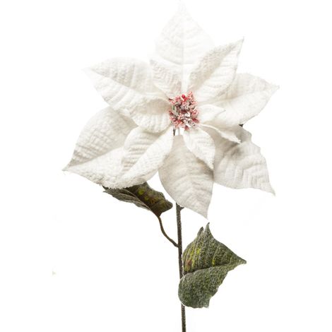 ARPIMEX Poinsettia Stella di Natale Innevata H 80 Cm Bianco