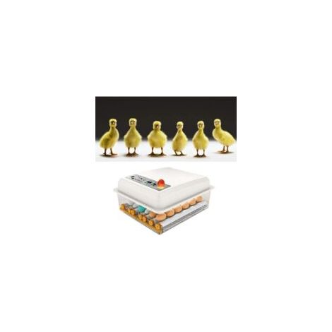 Incubateur Oeufs Couveuse A Oeuf Automatique Pour Volaille, Caille, Oie Canard, Pigeon, Reptile - 16 Oeufs