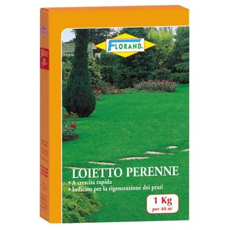 Loietto semenza per prato 1000 g