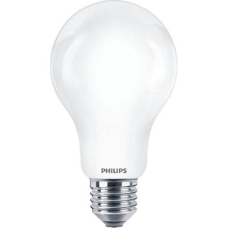 Lampadina LED E27 A67 17,5W = 150W 2452lm Colore freddo 6500K Corepro Philips (1/2)