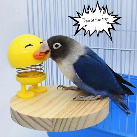 Perchoir pour oiseaux en bois naturel, accessoire pour cage, support d'entraînement pour perroquets (1/4)