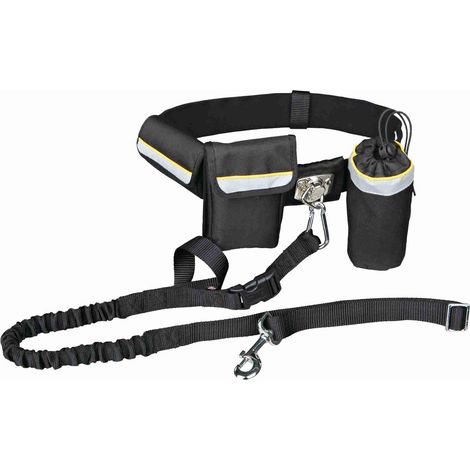 TRIXIE Ceinture ventrale avec laisse pour chien (1/2)
