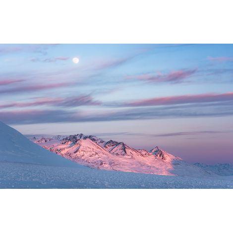 Papier peint panoramique naturel Dîner Violet (1/4)