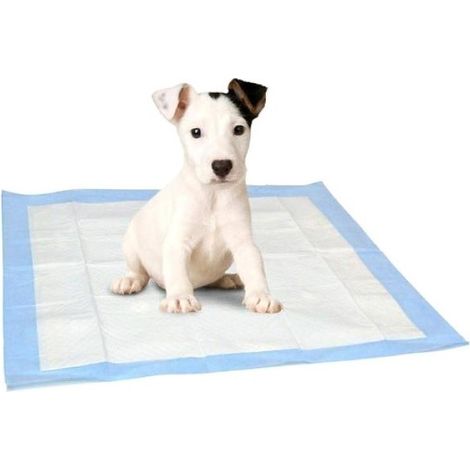 037803 Pack 10 tapis éducateur propreté pour chien 60x60cm NOBLEZA