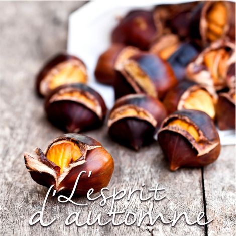 Lot de 20 serviettes papier marrons