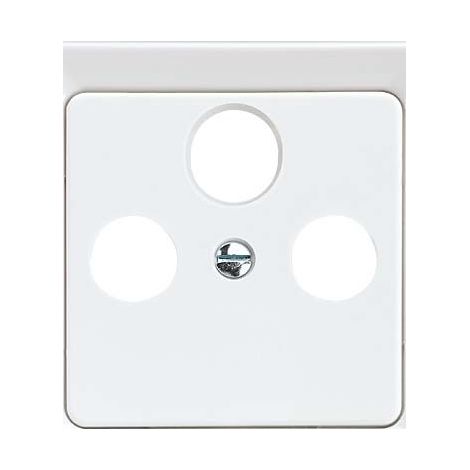 PLAQUE CENTRALE POUR PRISE SAT RW 206034 3 TROUS ELSO