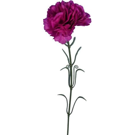 Einzelne violette Nelke, 54 cm (1/3)