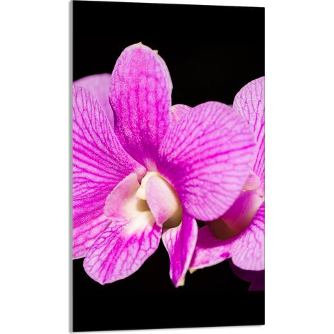 Glasschneidebrett 30x52 Orchidee