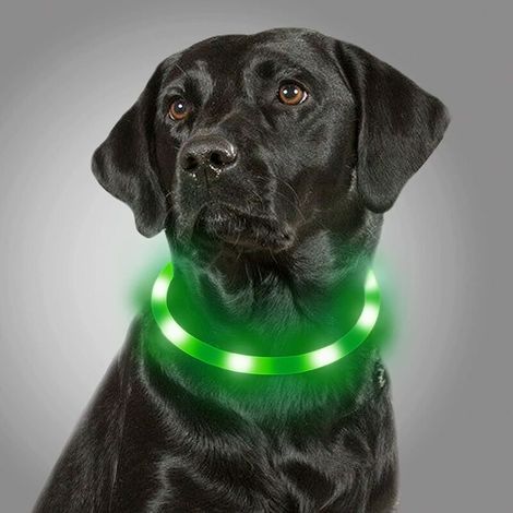 Collier d'éclairage pour chiens, collier de chien LED rechargeable par USB, collier de sécurité réglable clignotant pour petits, moyens et grands chiens, vert (1/5)