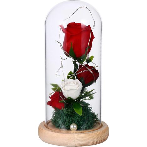 Lampe Fleur Enchantée Rose Guirlande Lumineuse LED Sous Dôme de Verre et Le Cadeau (1/5)