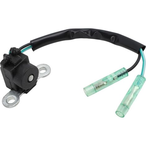 Bobine d'Allumage Déclencheur 9.9-15ch pour Moteur Hors-Bord YMH4 Pièce 66M-85580-00- (1/5)